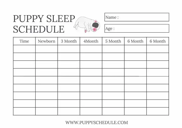 puppy sleep schedule by age example