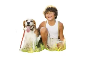 How to Calculate Dog Years to Human Years