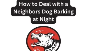 Neighbours Dog Barking at Night