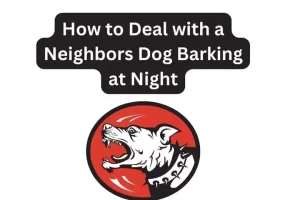 Neighbours Dog Barking at Night