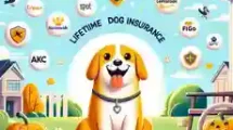 10 Best Lifetime Dog Insurance Providers a happy dog surrounded by icons or logos representing the 10 best lifetime dog insurance providers mentioned.