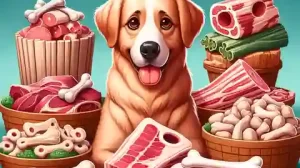 Can Puppies Eat Bones Illustration of the best types of bones for dogs