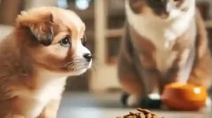 Can Puppies Eat Cat Food A curious puppy looking at a bowl of cat food with interest, while a cat eats from it