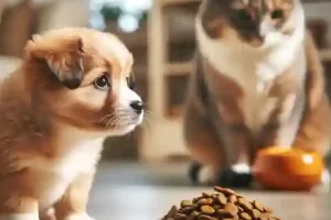 Can Puppies Eat Cat Food A curious puppy looking at a bowl of cat food with interest, while a cat eats from it