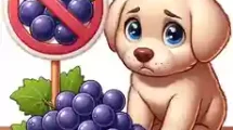 Is it OK for Dogs to Eat Grapes Can Puppies Eat Grapes A cartoon puppy looking curiously at a bunch of grapes on a table