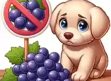 Is it OK for Dogs to Eat Grapes Can Puppies Eat Grapes A cartoon puppy looking curiously at a bunch of grapes on a table