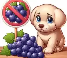 Is it OK for Dogs to Eat Grapes Can Puppies Eat Grapes A cartoon puppy looking curiously at a bunch of grapes on a table