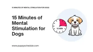 15 Minutes of Mental Stimulation for Dogs Presentation