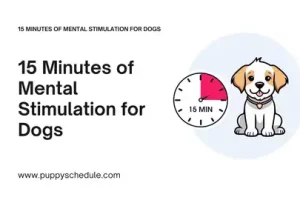 15 Minutes of Mental Stimulation for Dogs Presentation